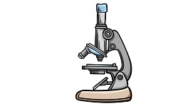 Introduction to Microscope